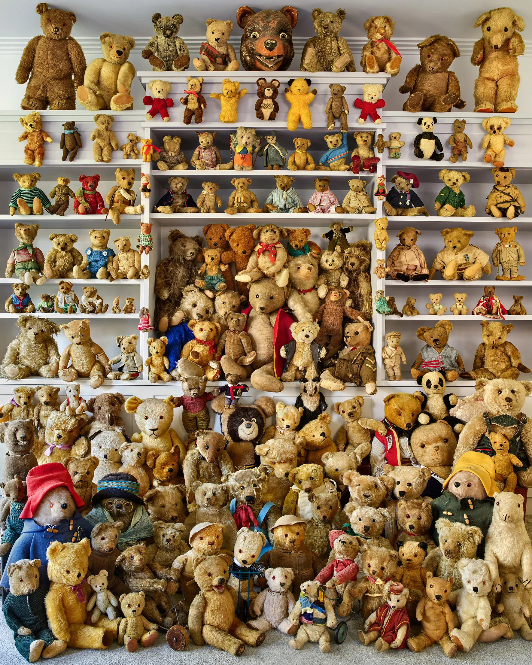 Part of a collection of antique teddy bears.