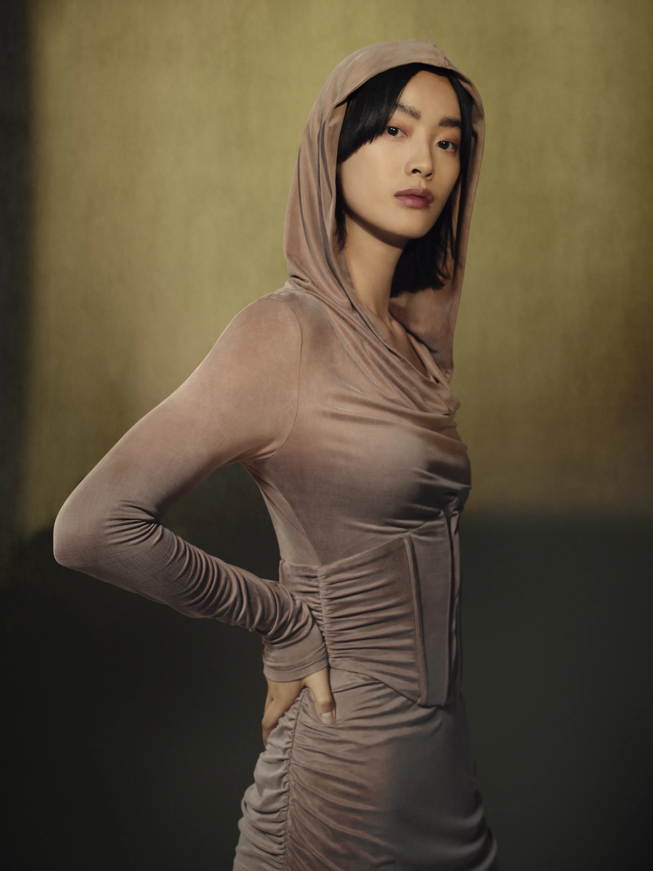 A model in a sheer hooded dress.
