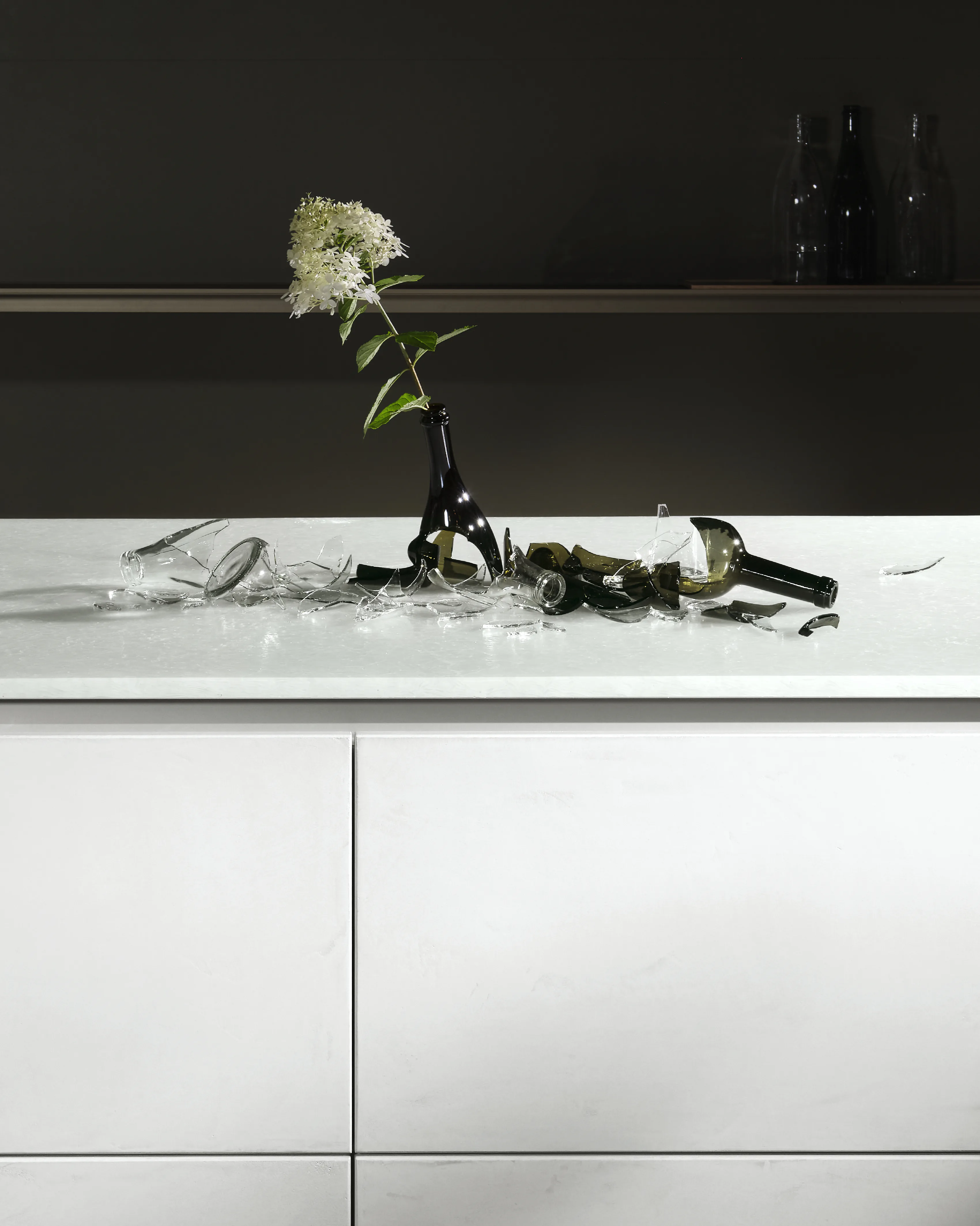 A single flowering stem laid across a white worktop against a dark wall.