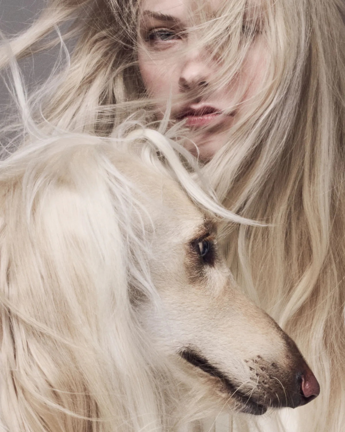 A woman's blonde hair blowing across her face, a cream-coated dog beside her.