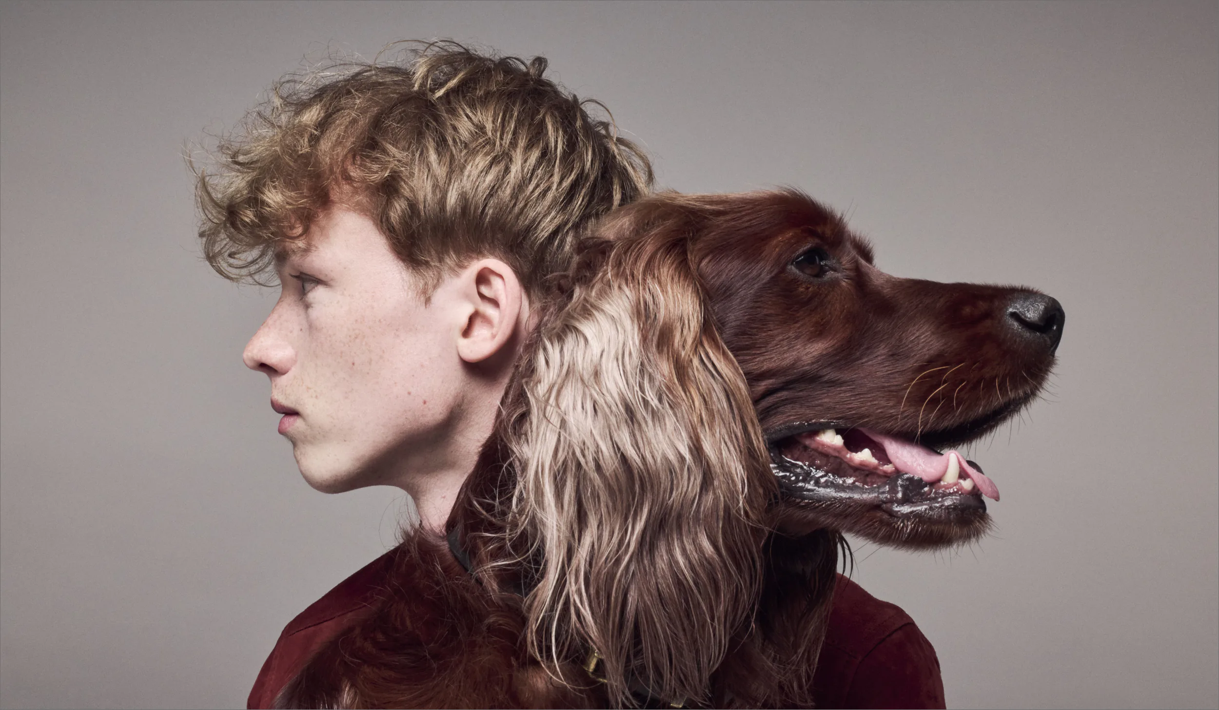 A young man and a red setter in profile, facing the same way.